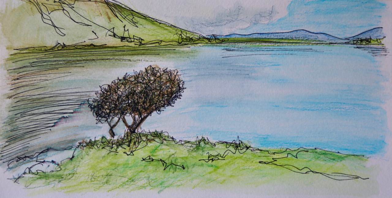 Tree at Annascaul Lake 1